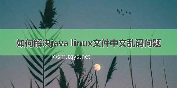 如何解决java linux文件中文乱码问题