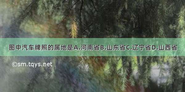 图中汽车牌照的属地是A.河南省B.山东省C.辽宁省D.山西省