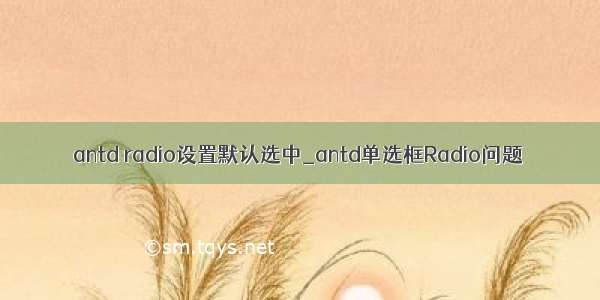 antd radio设置默认选中_antd单选框Radio问题