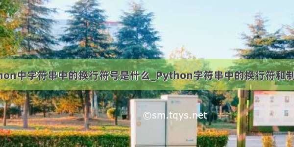 python中字符串中的换行符号是什么_Python字符串中的换行符和制表符