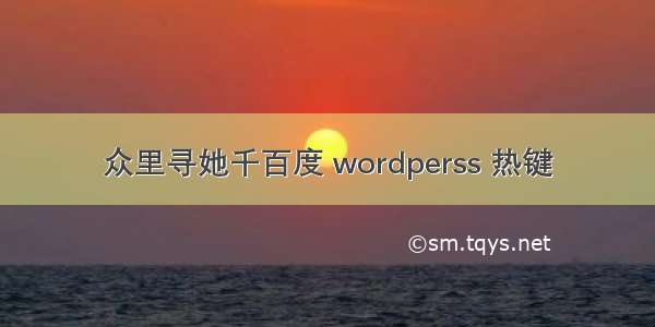 众里寻她千百度 wordperss 热键