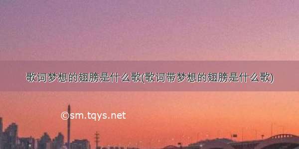 歌词梦想的翅膀是什么歌(歌词带梦想的翅膀是什么歌)