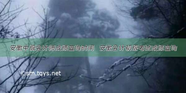 安徽中级会计师成绩查询时间  安徽会计初级考试成绩查询