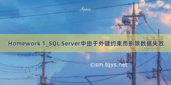 Homework 1_SQL Server中由于外键约束而删除数据失败