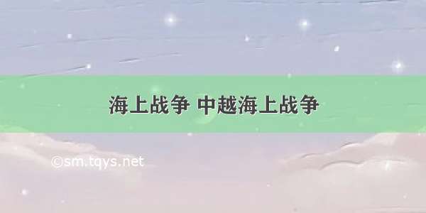 海上战争 中越海上战争