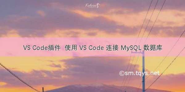 VS Code插件  使用 VS Code 连接 MySQL 数据库