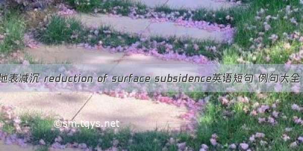 地表减沉 reduction of surface subsidence英语短句 例句大全
