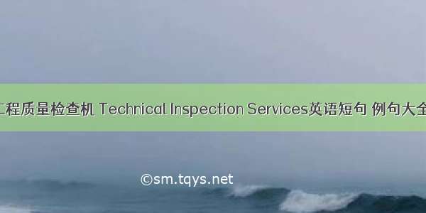 工程质量检查机 Technical Inspection Services英语短句 例句大全