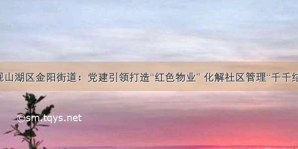 观山湖区金阳街道：党建引领打造“红色物业” 化解社区管理“千千结”