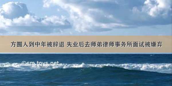 方圆人到中年被辞退 失业后去师弟律师事务所面试被嫌弃