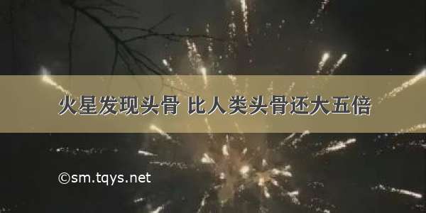 火星发现头骨 比人类头骨还大五倍