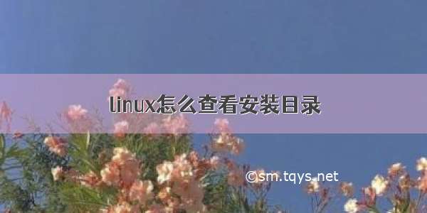 linux怎么查看安装目录