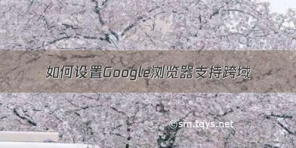 如何设置Google浏览器支持跨域