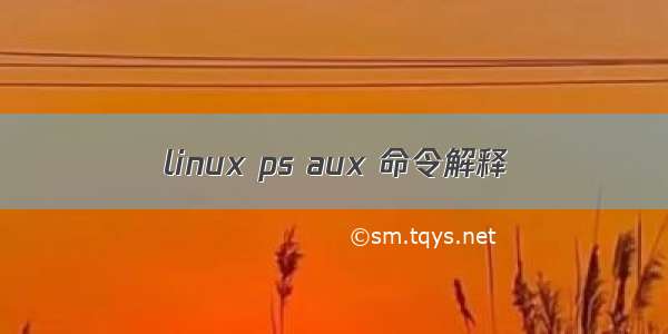 linux ps aux 命令解释