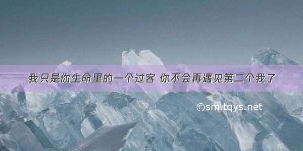 我只是你生命里的一个过客 你不会再遇见第二个我了