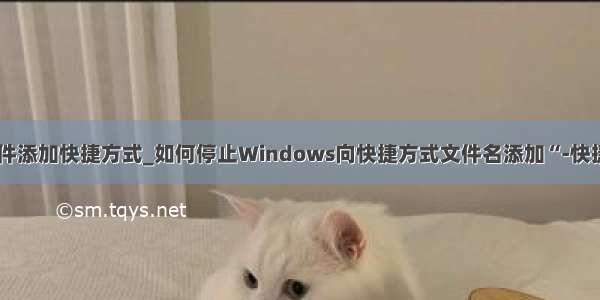 可执行文件添加快捷方式_如何停止Windows向快捷方式文件名添加“-快捷方式”...