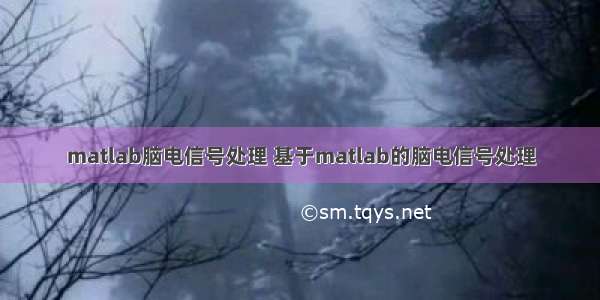 matlab脑电信号处理 基于matlab的脑电信号处理