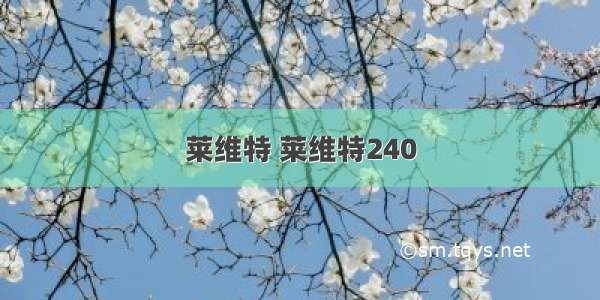 莱维特 莱维特240