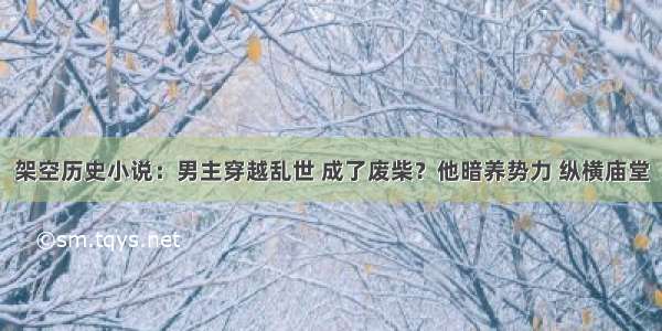 架空历史小说：男主穿越乱世 成了废柴？他暗养势力 纵横庙堂