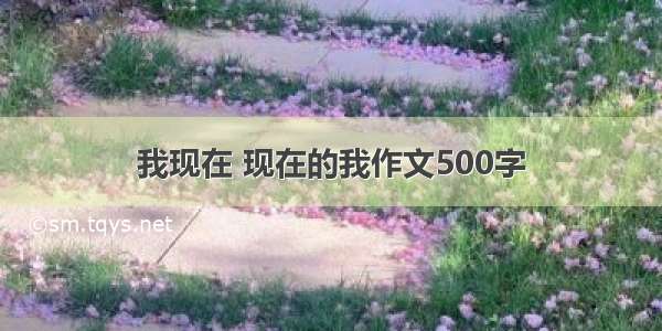 我现在 现在的我作文500字