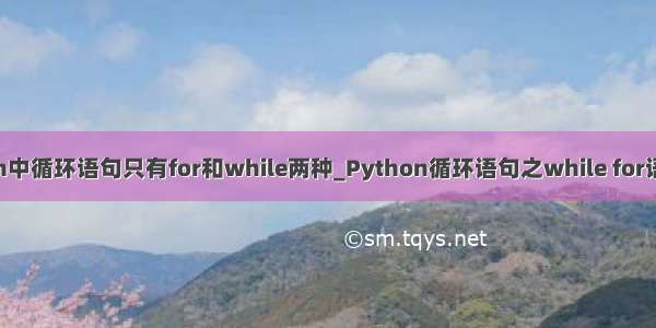 python中循环语句只有for和while两种_Python循环语句之while for语句详解