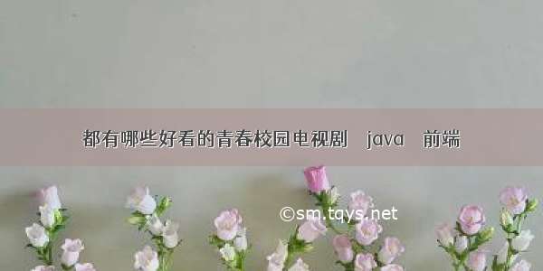 都有哪些好看的青春校园电视剧 – java – 前端