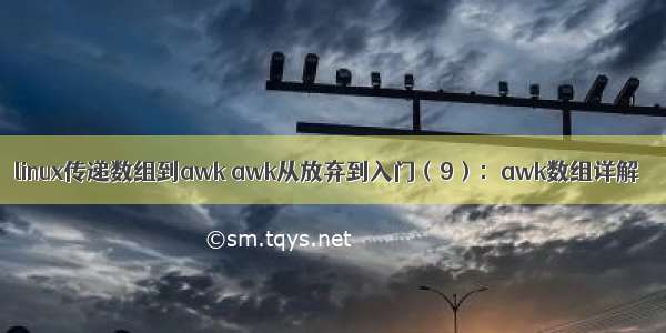 linux传递数组到awk awk从放弃到入门（9）：awk数组详解