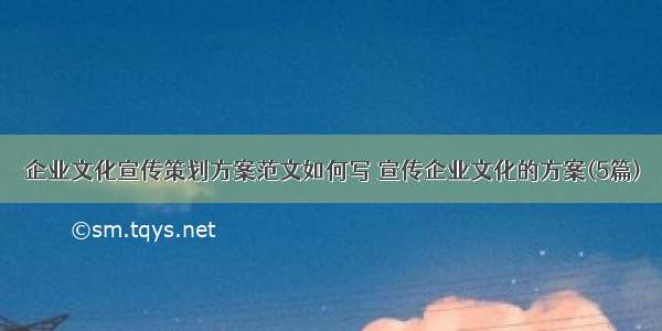 企业文化宣传策划方案范文如何写 宣传企业文化的方案(5篇)