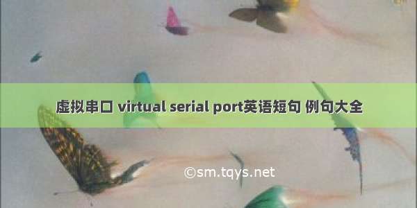 虚拟串口 virtual serial port英语短句 例句大全