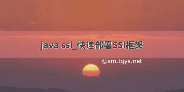 java ssi_快速部署SSI框架