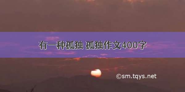 有一种孤独 孤独作文400字