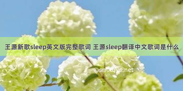 王源新歌sleep英文版完整歌词 王源sleep翻译中文歌词是什么