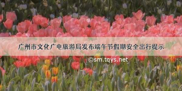 广州市文化广电旅游局发布端午节假期安全出行提示