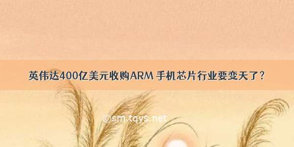 英伟达400亿美元收购ARM 手机芯片行业要变天了？