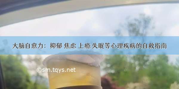 大脑自愈力：抑郁 焦虑 上瘾 失眠等心理疾病的自救指南