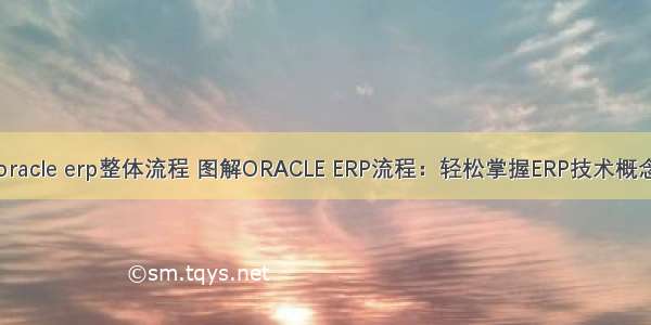 oracle erp整体流程 图解ORACLE ERP流程：轻松掌握ERP技术概念