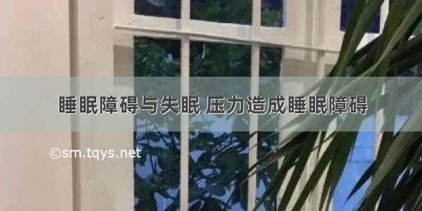 睡眠障碍与失眠 压力造成睡眠障碍