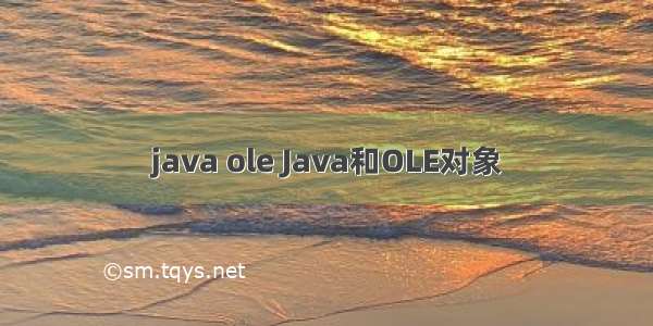 java ole Java和OLE对象