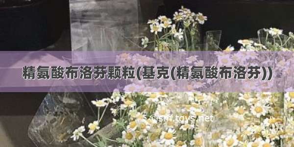 精氨酸布洛芬颗粒(基克(精氨酸布洛芬))