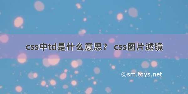 css中td是什么意思？ css图片滤镜