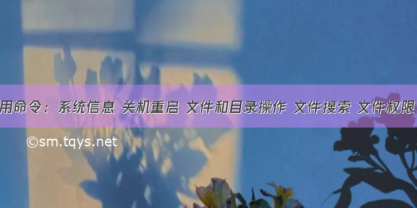 Linux常用命令：系统信息 关机重启 文件和目录操作 文件搜索 文件权限 挂载 磁