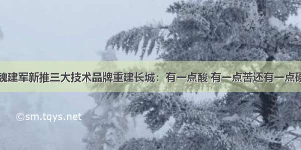 魏建军新推三大技术品牌重建长城：有一点酸 有一点苦还有一点硬