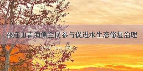 祁连山青海侧全民参与促进水生态修复治理