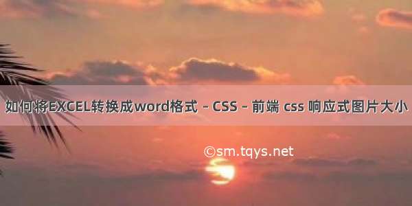 如何将EXCEL转换成word格式 – CSS – 前端 css 响应式图片大小