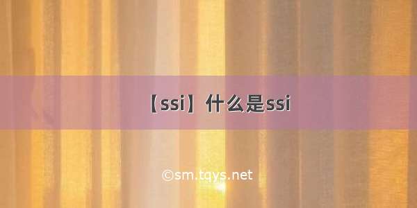 【ssi】什么是ssi