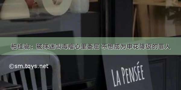 柏佳骏：被球迷叫毒瘤心里委屈 不想成为申花降级的罪人