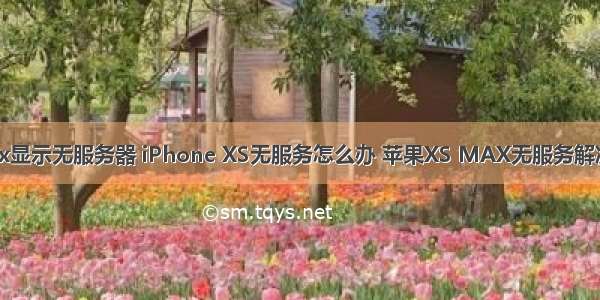 乐max显示无服务器 iPhone XS无服务怎么办 苹果XS MAX无服务解决方法