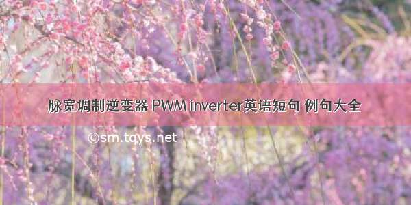 脉宽调制逆变器 PWM inverter英语短句 例句大全