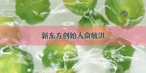 新东方创始人俞敏洪