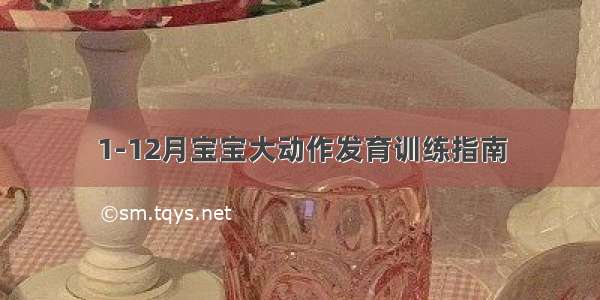 1-12月宝宝大动作发育训练指南